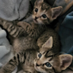 Meet your Posher, Taylor!!